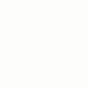 Meet your Posher, Daisy